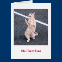 Birthday Card cards