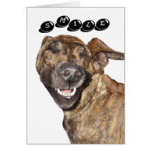 Birthday Card