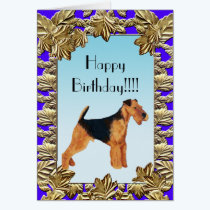 Birthday Card - Airedale Terrier cards