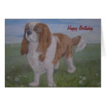 Birthday Card  Cavalier King Charles Spaniel,