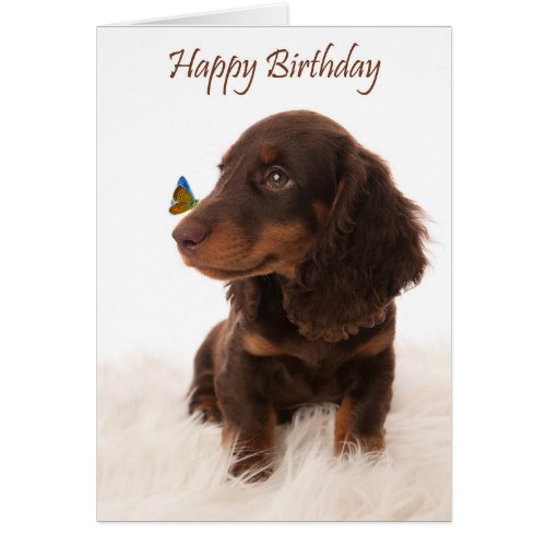 Birthday card dog with butterfly on nose