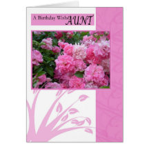 Birthday Card for Aunt, wild pink roses