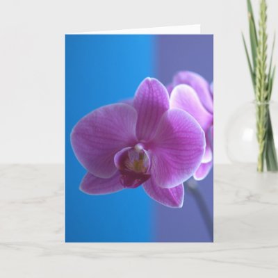 This lovely orchid card makes a gorgeous birthday card 