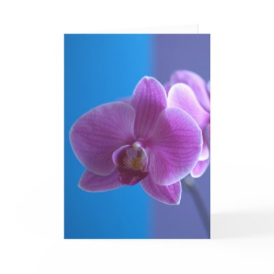 Birthday Card for Daughter -- Orchid by KathyHenis