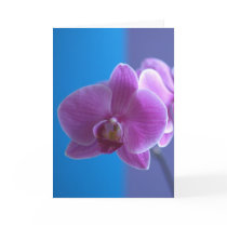 Birthday Card for Daughter -- Orchid by KathyHenis Birthday Card for Daughter -- Orchid
