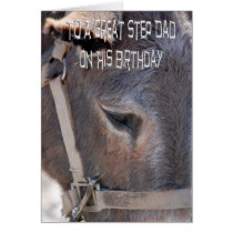 Birthday Card For Step Dad