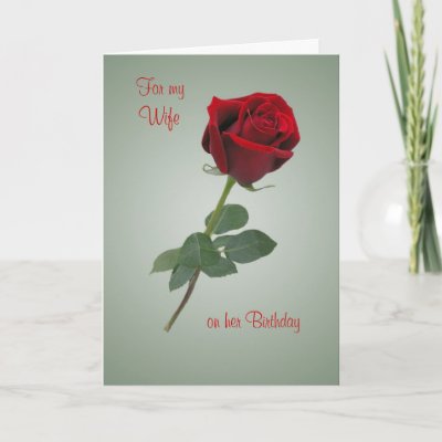 Birthday card for Wife with Red rose. from Zazzle.com