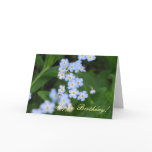 Birthday Card - Forget-Me-Nots