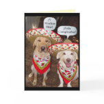 dog, dogs, myrtie, miss myrtie, moses, yellow lab,