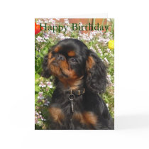 Birthday card : King charles spaniel / english toy