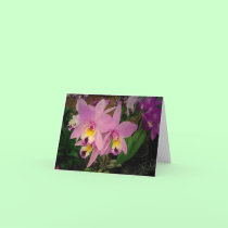 Birthday Card: Orchids with a Dream Realized cards
