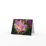 Birthday Card: Orchids with a Dream Realized