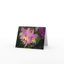 Birthday Card: Orchids with a Dream Realized