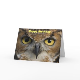 Birthday Card - Owls Eyes