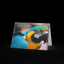 Birthday Card Parrot