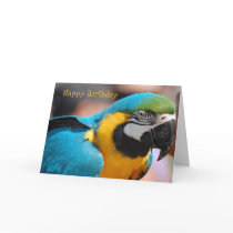 Birthday Card Parrot