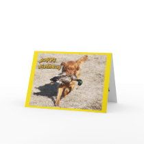 Birthday card with a Dog
