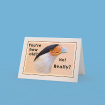 Birthday Card with Crested Caracara cards