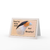 Birthday Card with Crested Caracara