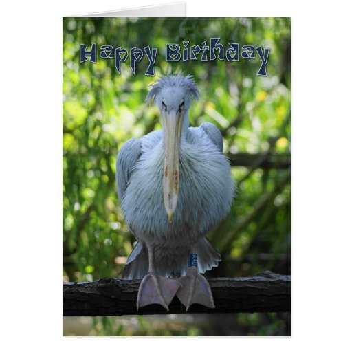 pelican birthday card
