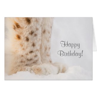 Birthday card with soft golden lynx paws in snow