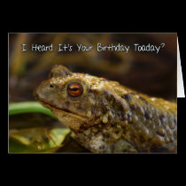Birthday Card With Wild Toad Play On Words, Toaday cards