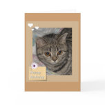 Birthday cat card