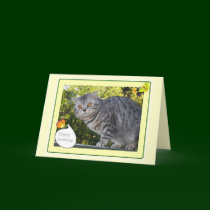Birthday - cat card