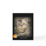 Birthday cat card