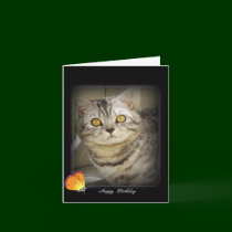 Birthday cat card