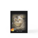 Birthday cat card
