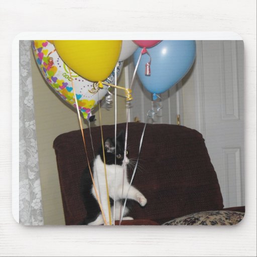 Birthday cat  says this is  my balloons mouse pads