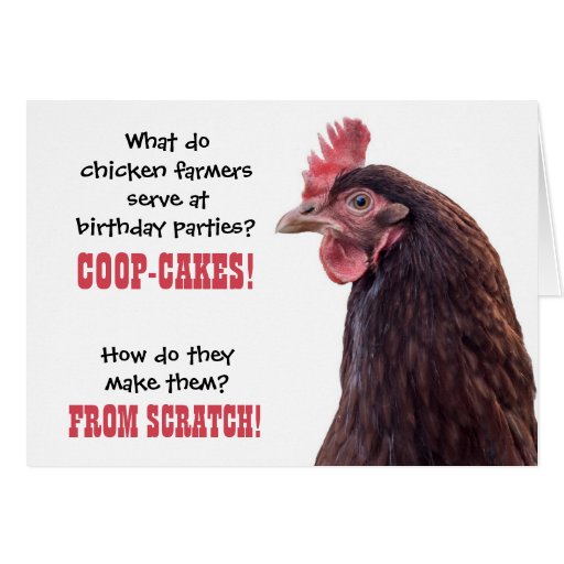 Birthday Chicken Jokes with Hen Photo Greeting Card Zazzle