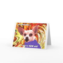 birthday chihuahua cards