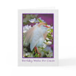 Birthday, Cousin, Cattle Egret Bird Card