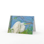 Birthday,  Cousin, Great Egret Bird Cards