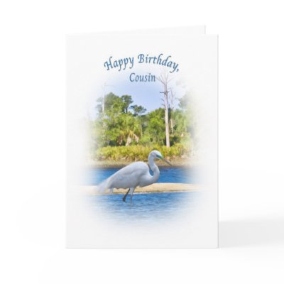 Birthday,  Cousin, Great Egret Cards by GrandmaDee