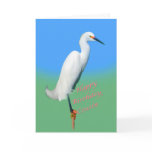 Birthday, Cousin, Snowy Egret on a Limb Greeting Cards