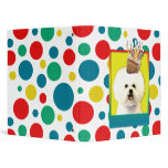 Birthday Cupcake - Bichon Frise Binders