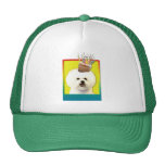 Birthday Cupcake - Bichon Frise Hat