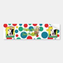 Birthday Cupcake - Border Collie Bumper Sticker