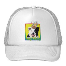 Birthday Cupcake - Border Collie Mesh Hat