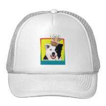 Birthday Cupcake - Border Collie Mesh Hats