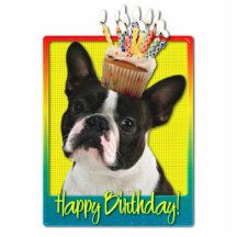 Birthday Cupcake - Boston Terrier Cut Outs