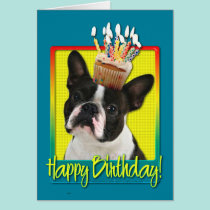 Birthday Cupcake - Boston Terrier cards
