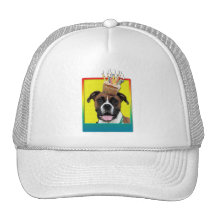 Birthday Cupcake - Boxer - Vindy Trucker Hats