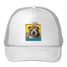 Birthday Cupcake - Bulldog - Dark Mesh Hats