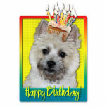 Birthday Cupcake - Cairn Terrier - Teddy Bear Photo Sculpture