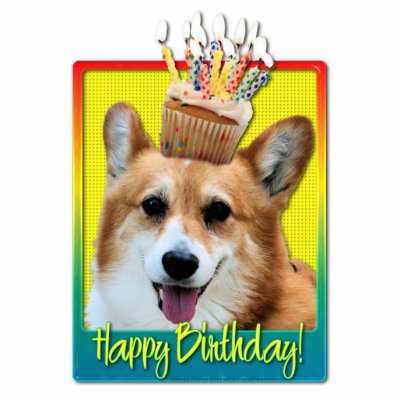 Birthday Cupcake - Corgi - Owen Acrylic Cut Out by FrankzPawPrintz