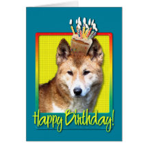 Birthday Cupcake - Dingo Greeting Card